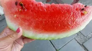 Наш баштан.  Дегустація кавуна зі свого городу 🍉 Київська область.