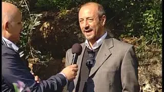 L'olivocoltura in Sicilia