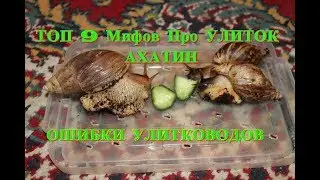 TOP 9 MYTHS ABOUT THE AXATIN SNAILS THE MOST DISABLED ERRORS OF UNITORS
