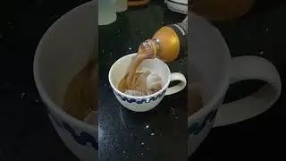 NESCAFE ICED CAPPUCCINO 