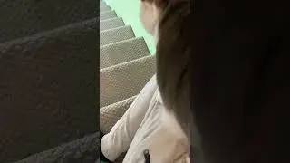 DUNKEY WHAT U DOIN’ #shorts #funny #cats #funnycats #catshorts