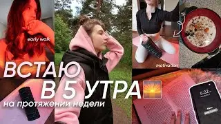 Я вставала в 5 УТРА НЕДЕЛЮ, и вот что из этого вышло...