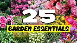 💖 25 Most Popular Plants for BEAUTIFUL Landscaping! ✨ GARDENING MUST-HAVES 🏡