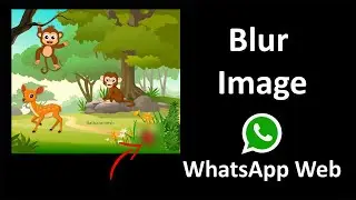 How to Blur Image In WhatsApp Web