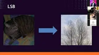 Стеганография: прячем кота в дереве