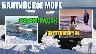 Калининград сегодня / Светлогорск - Зеленоградск 2021 / Колесо обозрения почти достроили!