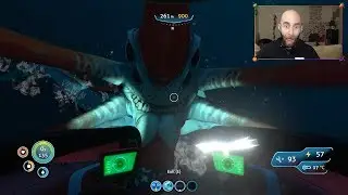 Twitch Stream Highlights January 2018 - Fruitbats