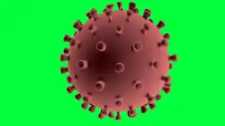 Corona virus 3d model animation rotation on green screen