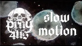 Pray 4 Us - Slow Motion [Official Audio]