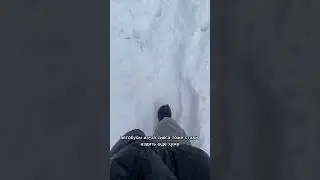 снег на севере Германии #германия #снег #зима #европа