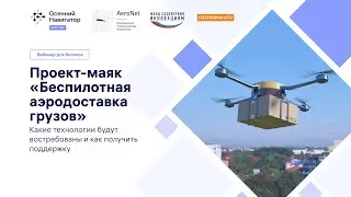 Проект-маяк «Беспилотная аэродоставка грузов»: возможности для бизнеса 