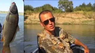 Ловля сазана на кольцо