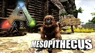 Taming A Mesopithecus | Ark Survival Evolved | The Island