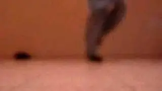 CWalk - TCW 2