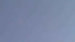 Пермские голуби.