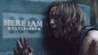 Multifandom | Here I Am (Collab)