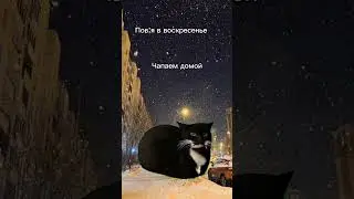 пов:я в воскресенье 