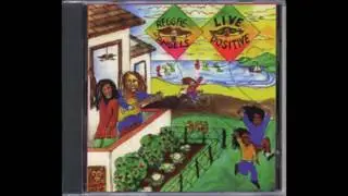 Reggae Angels - Live Positive