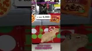 4 часть-конец... жизнь капибары 