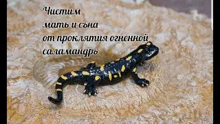 ЧИСТИМ МАТЬ И СЪНА ОТ ПРОКЛЯТИЯ ОГНЕННОЙ САЛАМАНДРЪ
