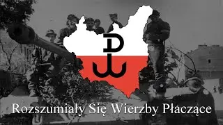 Rozszumiały Się Wierzby Płaczące - Rare Version
