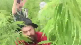 Нормальные герои
