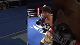 Listen to the Great Andre Ward explain a different way of being a dog in the ring. 