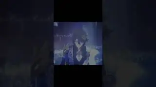 #honkaistarrail