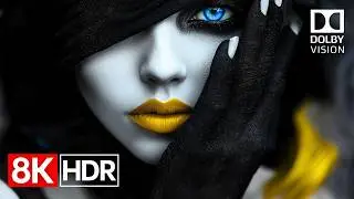 The Beauty of True HDR — 8K Dolby Vision 120fps Experience