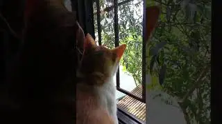 Bonding kami ni kuya Toffee.