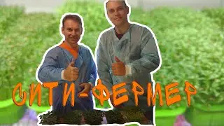 Бросил работу ITишника и открыл СИТИ-ферму.