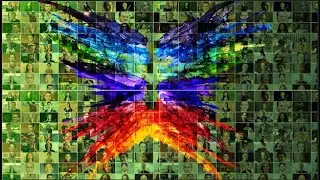 Wrap-Up 2021 Metamorphosis | Métamorphose