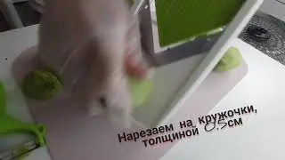 ФРИПСЫ ИЗ КИВИ, ФРУКТОВЫЕ ЧИПСЫ)