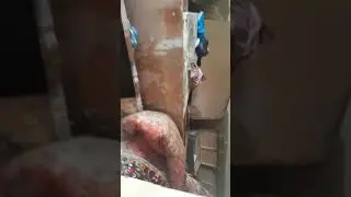 Сел дар дехаи халкачар