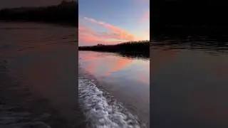 Дельта Волги
