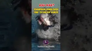 PENAMPAKAN HEWAN PURBA YANG TERTANGKAP KAMERA⁉️ Part 3 #videoviral #shorts #animals #dinosaur #short
