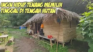 MANTAN PENGUSAHA MEMILIH HIDUP DI TENGAH HUTAN