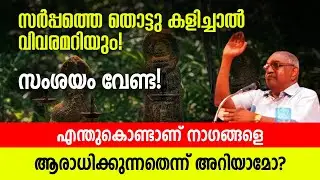 സർപ്പത്തെ തൊട്ടു കളിച്ചാൽ വിവരമറിയും! എന്തുകൊണ്ടാണ് നാഗങ്ങളെ ആരാധിക്കുന്നതെന്ന് അറിയാമോ?