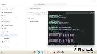 How to enable the Linux Development Environment on your Chromebook