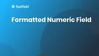 Formatted Numeric Field
