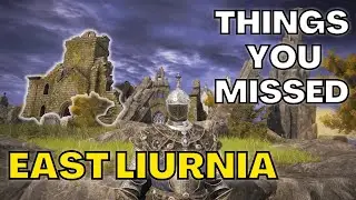 The Top Things You Missed In Eastern Liurnia!! [probably] - Elden Ring Guides and Tutorials