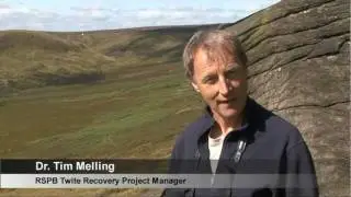 Twite Recovery Project - A Guide to Twite Identification