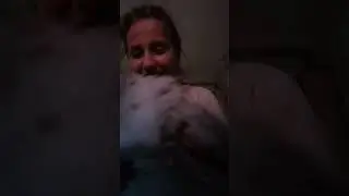 ТАКАЯ МОРДАЧКА В ДАЛЬ СМОТРИТ❤️❤️❤️🧏‍♀️+🐈КИТЯ СЕРАЯ =❤️❤️❤️❤️I LOVE YOU, 💕💞💝💖👄💋❤️💓💗