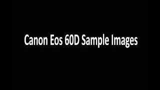 Canon Eos 60D Sample Images