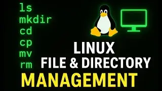 Linux File & Directory Management | ls, mkdir, cd, cp, mv, rm Explained with Real-Time Examples