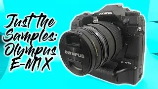 Just the Samples - Olympus E-M1X