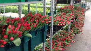 ПОЗДРАВЛЯЮ  С  23  ФЕВРАЛЯ  БРАТЦЫ