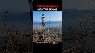Ikan nya langsung terbang ke darat !! #shorts