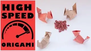 Squirrel from paper. High Speed Origami