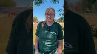 Keeper Kristi Zookeeper Week